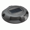 Dock Edge Panoramic Solar Dock Light