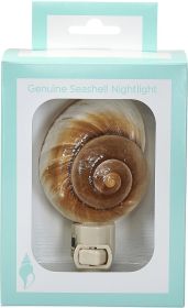 Mt Land Snail Shell  Night Light