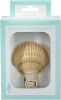 Mexican Deep Seashell Night Light