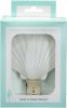 Irish Deep Seashell Auto Night Light with Auto Switch Sensor