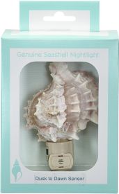 Pink Murex Seashell Night Light with Auto Switch Sensor