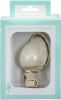 Bonnet Seashell Night Light